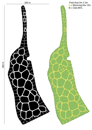 Illustration for article titled Using Algorithmic Modeling to “Print” Smarter Fields